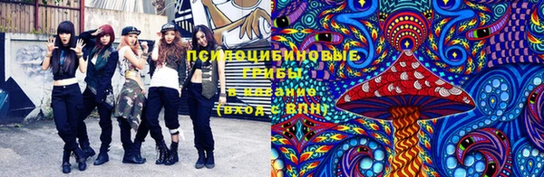а пвп мука Алзамай