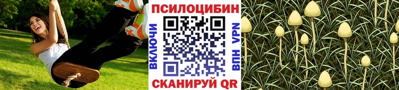 Галлюциногенные грибы прущие грибы  Медынь 